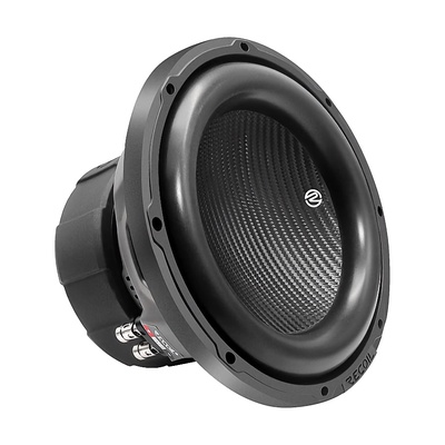 Recoil audio PW10D2